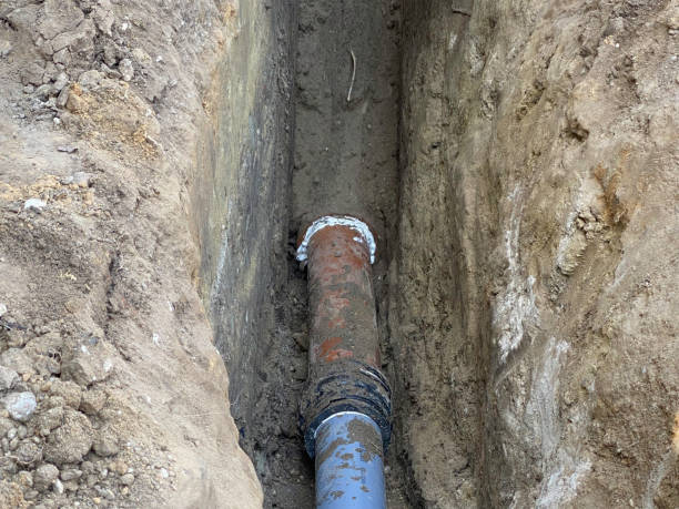 Best Basement water damage restoration  in Metzger, OR