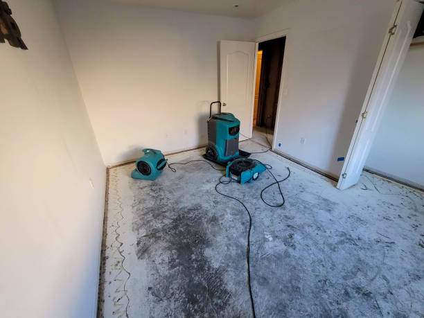 Best Local water damage restoration  in Metzger, OR