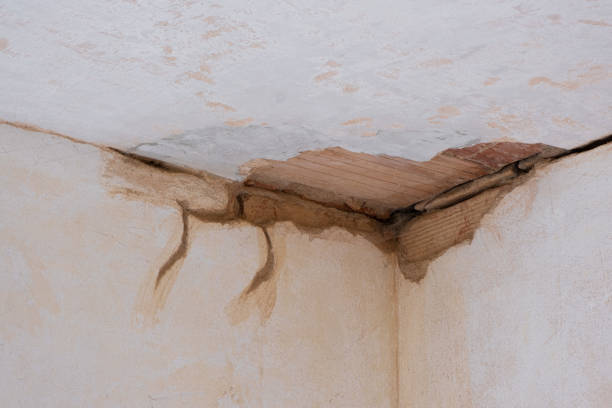 Best Water damage cleanup near me  in Metzger, OR