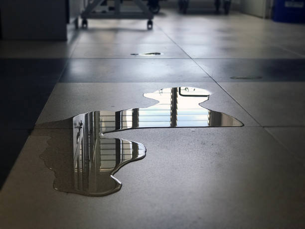 Local water damage restoration in Metzger, OR