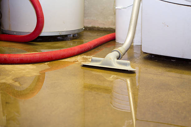 Best 24-hour water damage restoration  in Metzger, OR