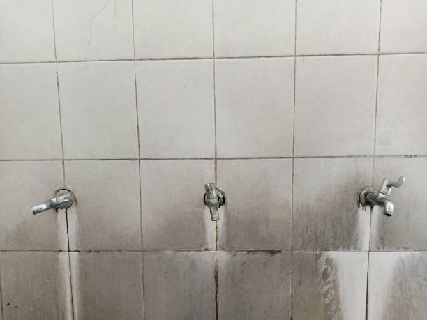 Best Emergency water damage restoration  in Metzger, OR