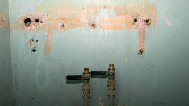 Carpet water damage restoration in Metzger, OR