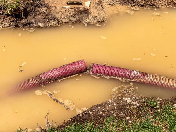 Professional Water damage restoration in Metzger, OR