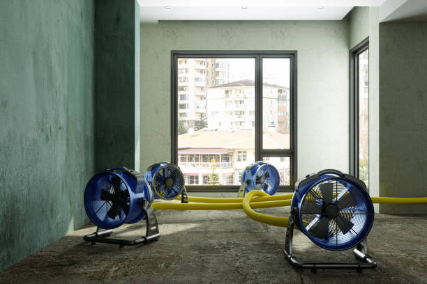 24/7 water damage repair in Metzger, OR