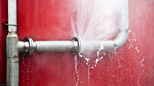 Best Sewage cleanup and water damage restoration  in Metzger, OR